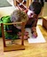 Sunstone Montessori School
